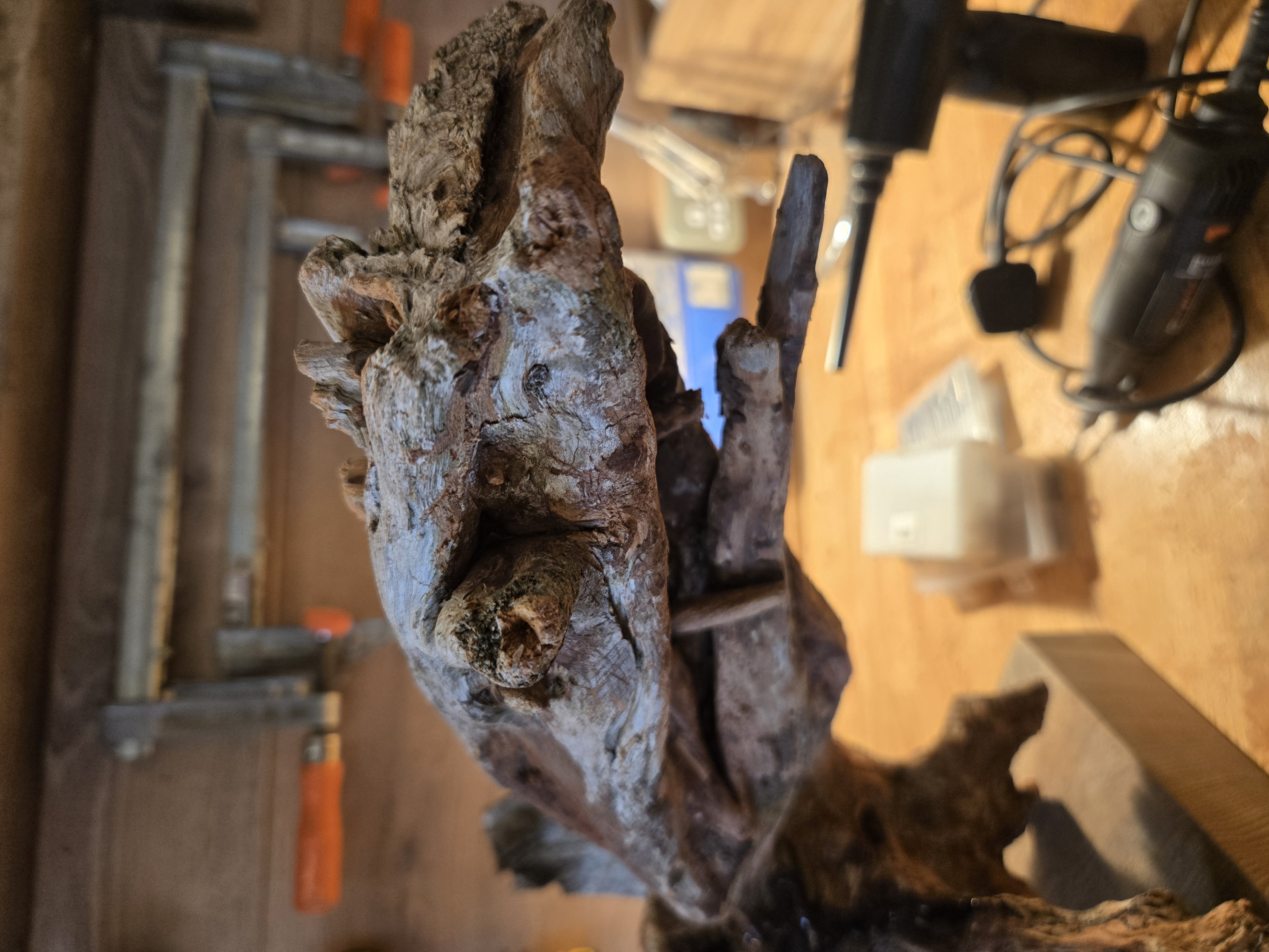Unfinished bog pine work in the RUIN workshop