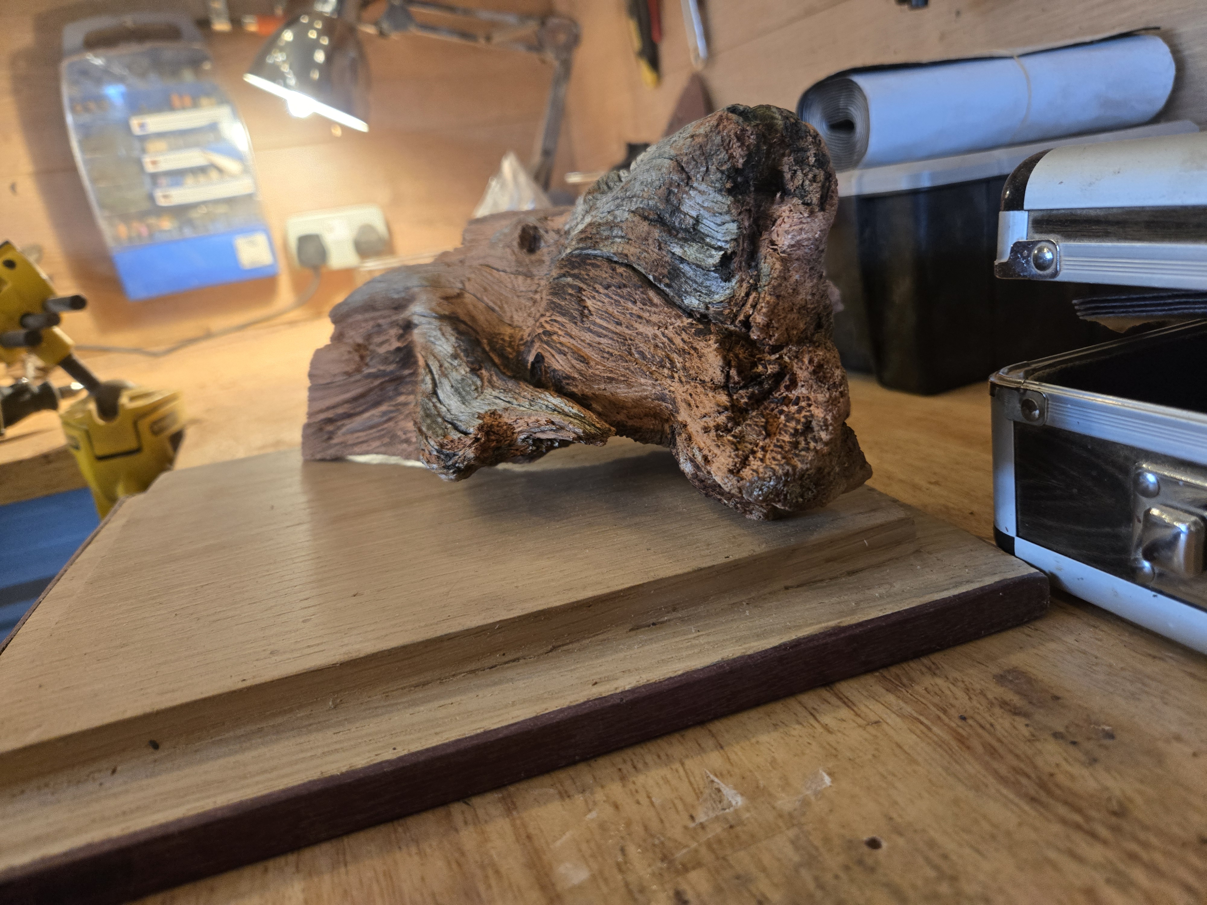 Last Dinosaur